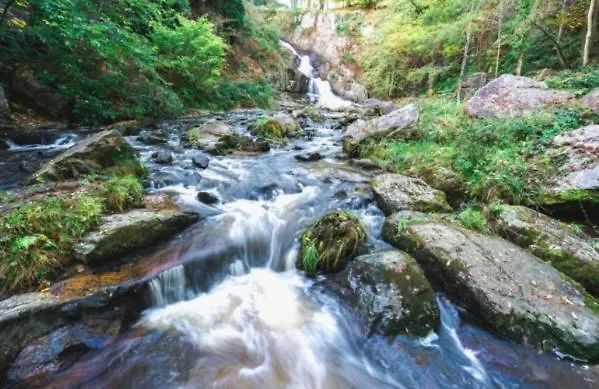 La Petite Maison Normandie Holiday home *